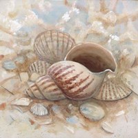Beach Prize I Fine Art Print