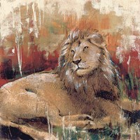 Lion Fine Art Print