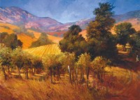 Southern Vineyard Hills Fine Art Print
