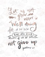 Galatians 6-9 Fine Art Print