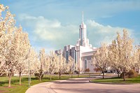 Mt. Timpanogas Temple Fine Art Print