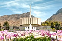 Provo Temple Framed Print