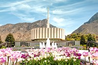 Provo Temple Fine Art Print