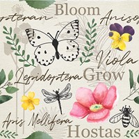 Spring Pattern II Fine Art Print