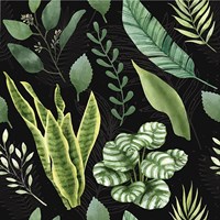 Spring Pattern III Fine Art Print