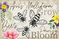 Botany Art V Fine Art Print