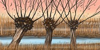 Trees and Reeds Fine Art Print