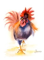 Rooster Fine Art Print