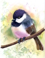 Chickadee II Fine Art Print