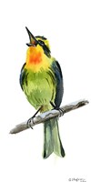 Tropical Bird IV Fine Art Print