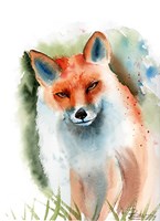 Fox II Fine Art Print