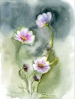 Purple Flowers II Fine Art Print