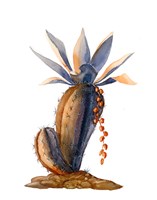 Cactus V Fine Art Print