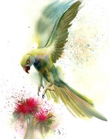 Green Bird Fine Art Print