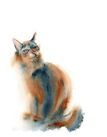 Ginger Cat Fine Art Print