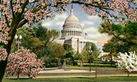 US Capitol Fine Art Print