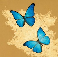 Cerulean Butterfly I Fine Art Print