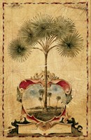 Sunrise Palm Fine Art Print