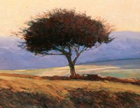 Cloondaff Fine Art Print