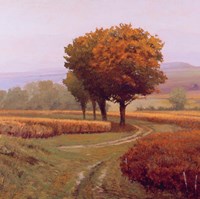 Charmony Fine Art Print