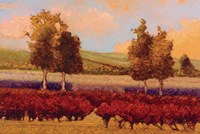 St. Pierre Fine Art Print