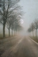 A Quiet Place Fine Art Print