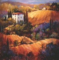 Evening Glow Tuscany Fine Art Print