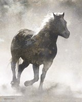 Textured Dark Running Horse Fine Art Print