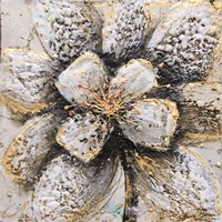 Explosion of Petals Fine Art Print