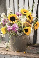 Bucket of Sunshine Fine Art Print