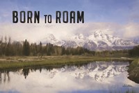 Born to Roam Fine Art Print