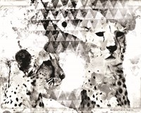 Modern Black & White Cheetahs Framed Print