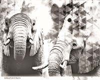Modern Black & White Elephants Framed Print