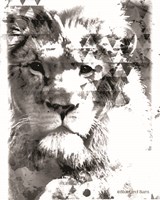 Modern Black & White Lion Fine Art Print