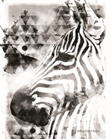 Modern Black & White Zebra Fine Art Print