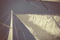 Sailing a Line Fine Art Print