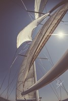 Clear Sailing Fine Art Print