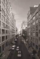 Dueling Cabs Fine Art Print