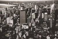 Many Stories Fine Art Print