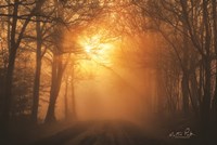 Misty Sunrise Fine Art Print