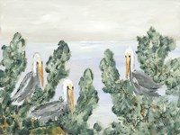 The Pelican Perch Fine Art Print
