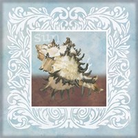 Sandy Shells Blue Spikey Fine Art Print