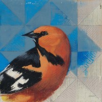 Oriole Fine Art Print