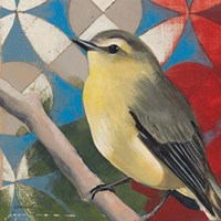 Philadelphia Vireo Fine Art Print