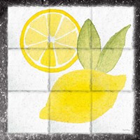 Citrus Tile VI Black Border Framed Print