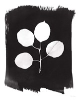 Nature by the Lake Leaves II Black Fine Art Print