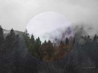 Bold Adventures II v2 No Words Fine Art Print