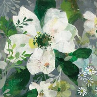 Anemone and Friends III Fine Art Print