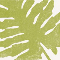 Tropical Treasures IV Fine Art Print