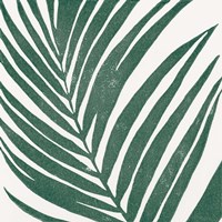 Tropical Treasures III Fine Art Print